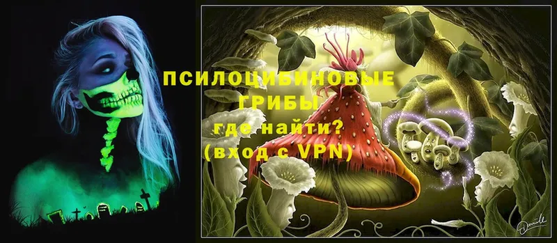 купить  цена  Улан-Удэ  Псилоцибиновые грибы Magic Shrooms 